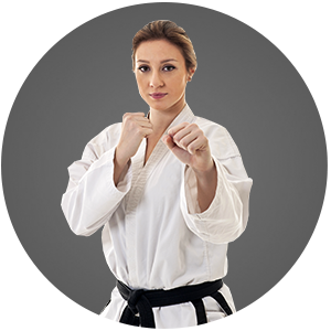 Martial Arts Modern Warrior Martial Arts Academy Adult Programs